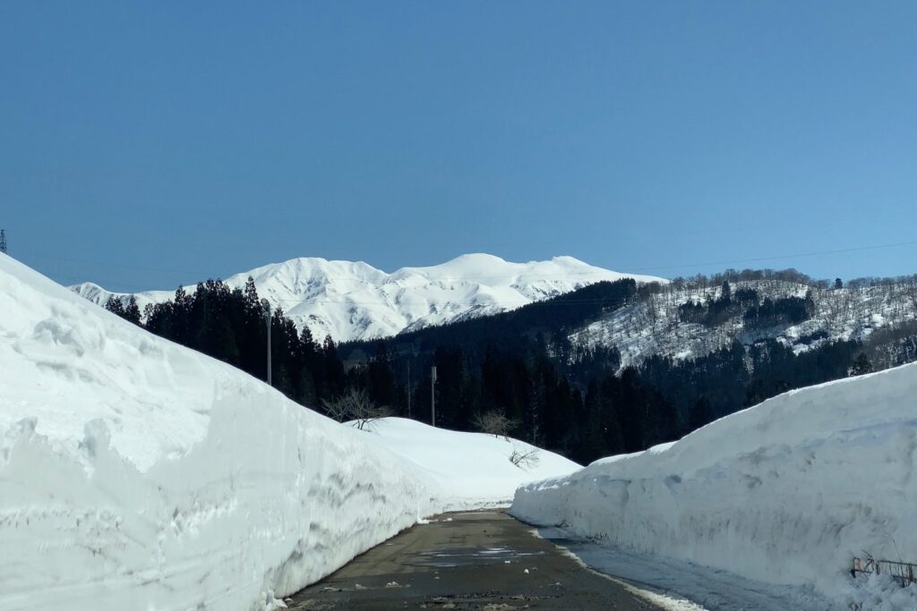 西山クロスカントリー競技場からの白山連峰