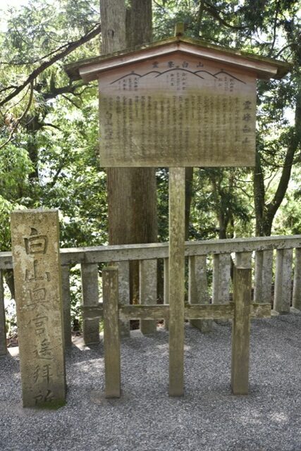 画像に alt 属性が指定されていません。ファイル名: 64fa51ffb7cf3cf2b0e1c05cf74ce733-rotated.jpg